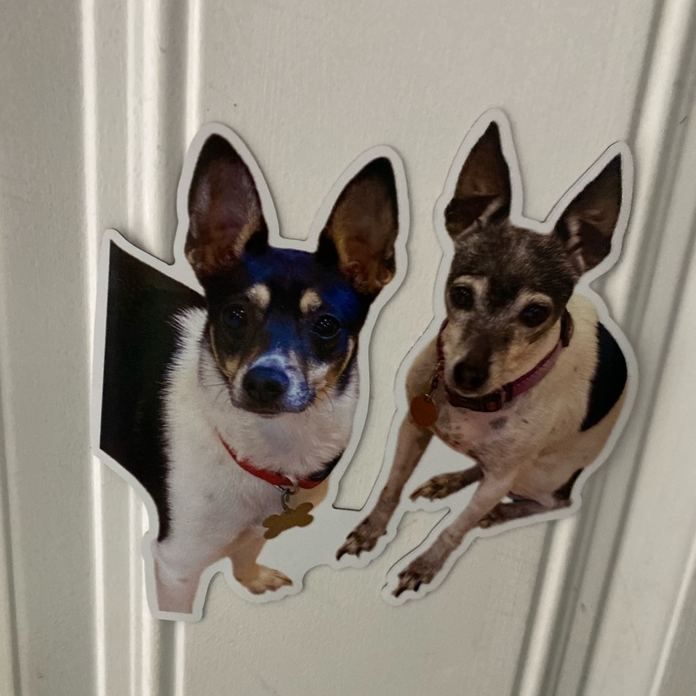 Meet your Posher, Jill